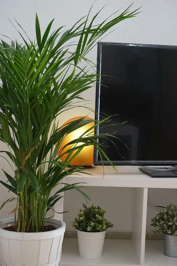Apartamentosmalaga Spain