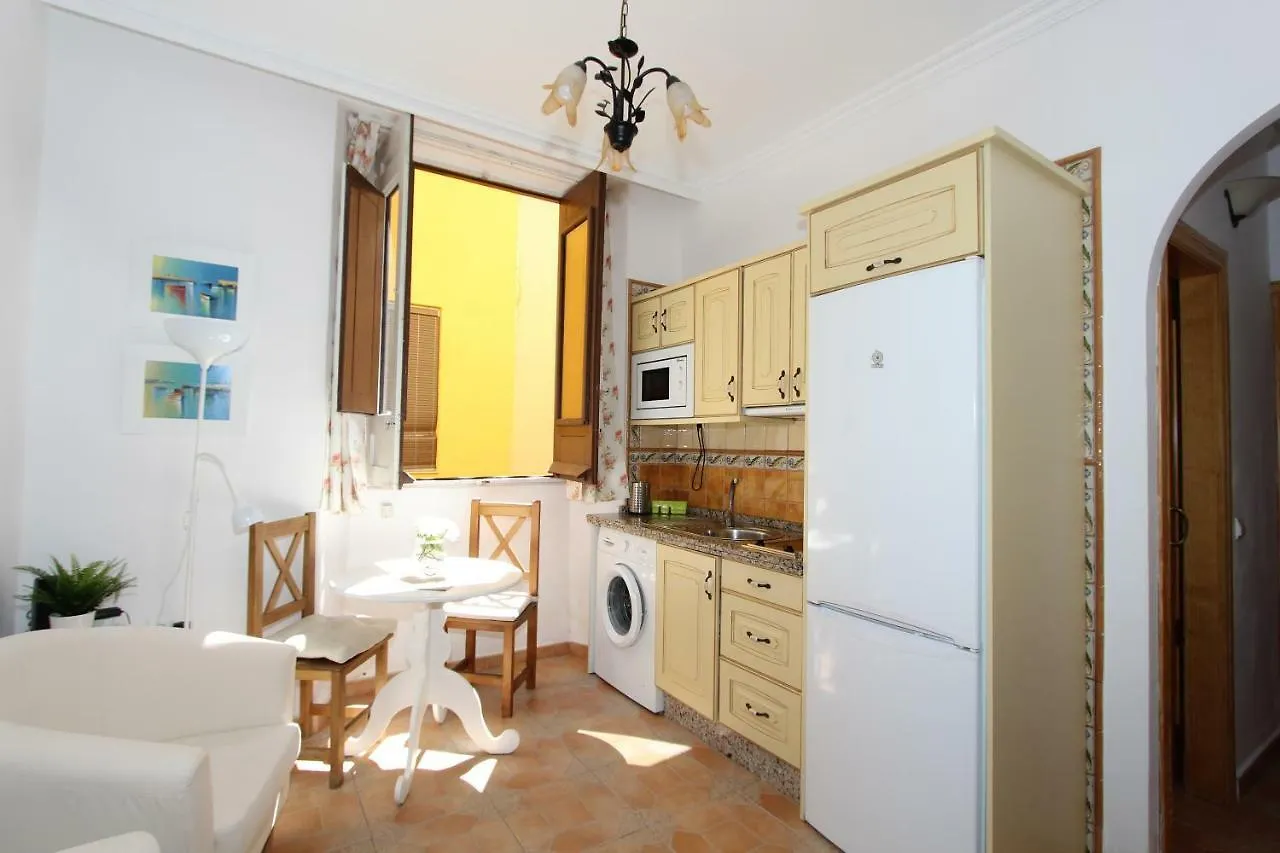 Apartamentosmalaga contacts